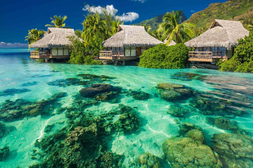 vacations 